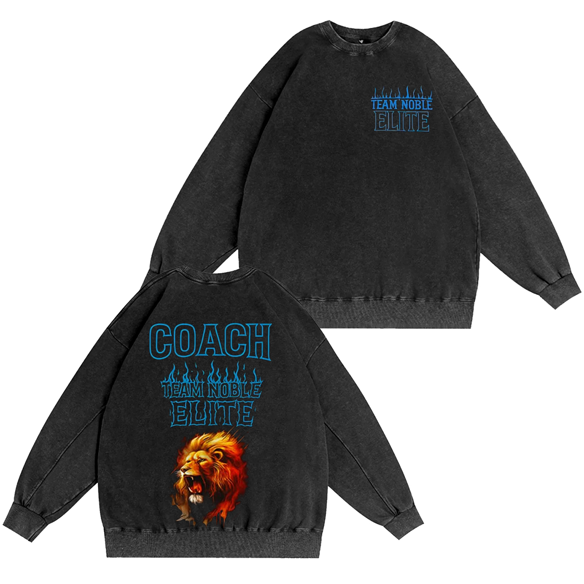 Fierce Lion Vintage Washed T-shirt/Crewneck/Hoodie